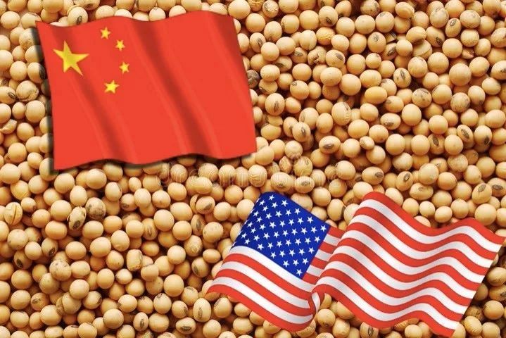中美关系脱钩，大豆贸易谁更便宜？
