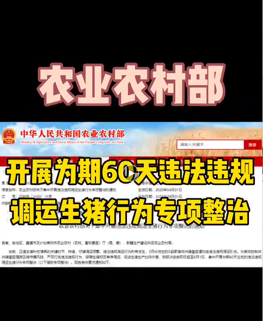 《Xi观察》专栏:开展60天违法违规运输生猪专项整治
