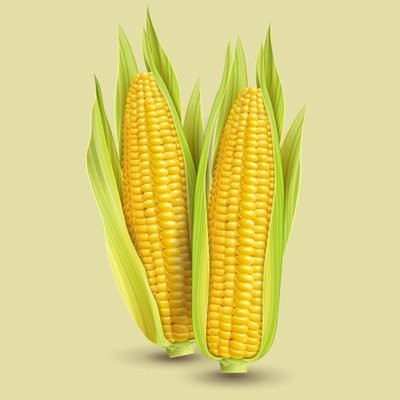 关于11月30日在云南省分行召开玉米招标采购专题会议的公告
