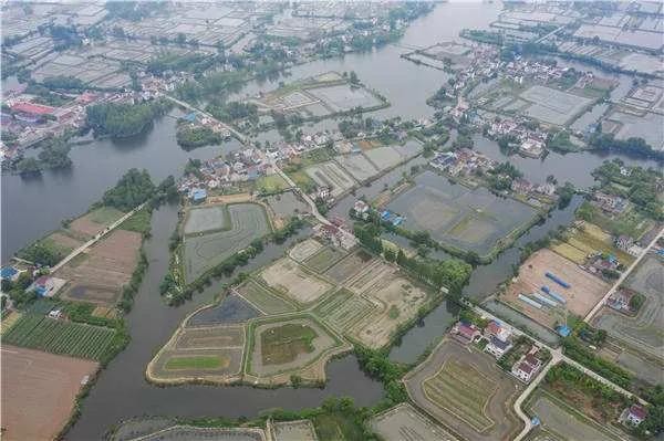 长江禁渔全面展开！新形势下，安徽省近90万亩河蟹产业发展面临哪些机遇和挑战？

