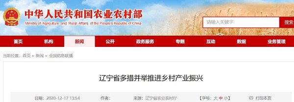 辽宁省采取多种措施促进农村工业振兴
