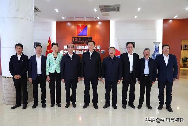 中国育种网独家报道:农业和农村事务部部长韩长福称赞正邦集团“扩大生产，保证供应”