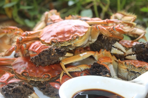 海鲜咖喱蟹的做法