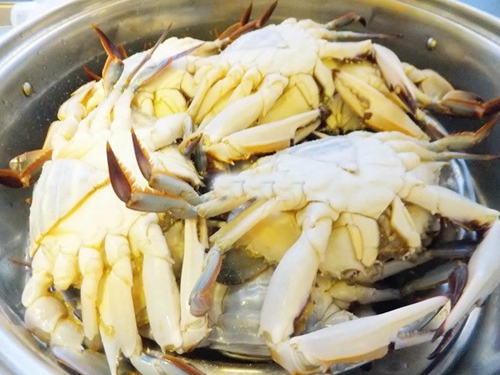 清蒸大螃蟹----教你怎样挑选梭子蟹