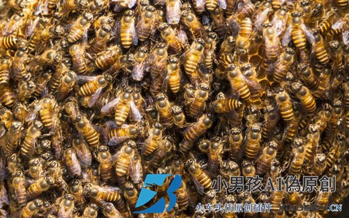 不让蜜蜂和蜂王离开的技术
