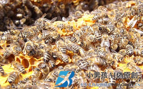 不让蜜蜂和蜂王离开的技术