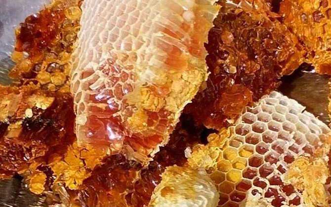 如何鉴别当地蜂蜜的真伪？