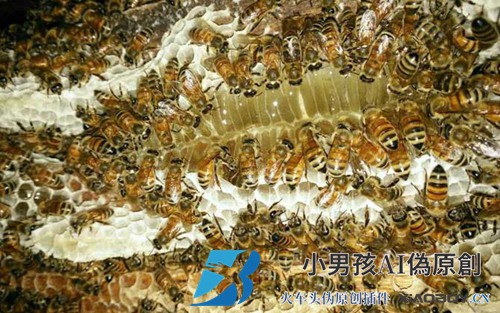 如何招蜂最快