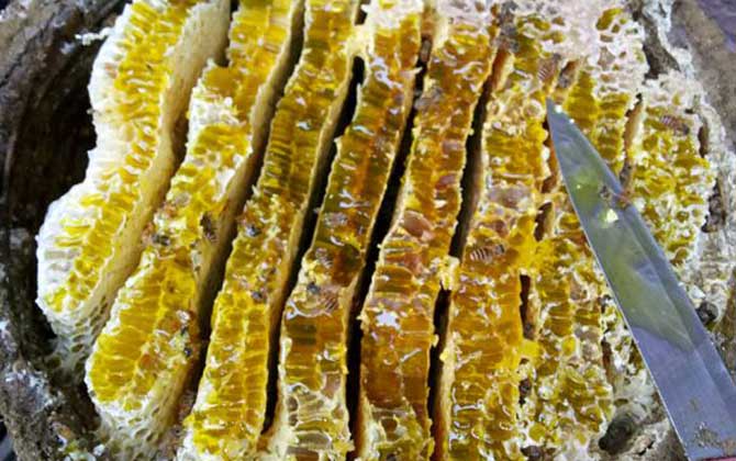 一斤纯天然蜂蜜多少钱？