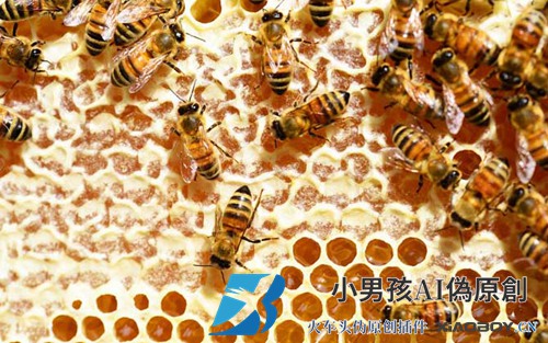 蜂蜜是怎么分类的？
