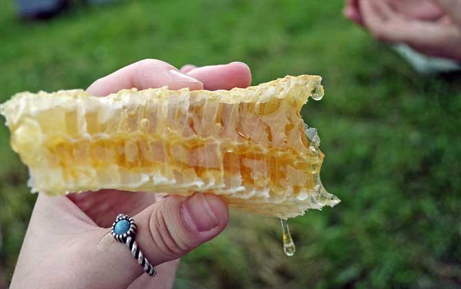 喝蜂蜜对身体好吗？