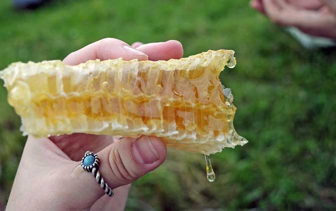 每天喝蜂蜜会胖吗？
