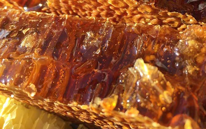蜂蜜减肥的原理和正确方法