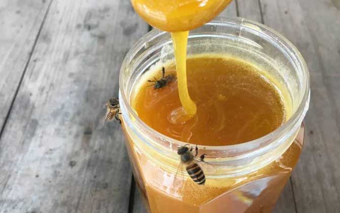 孕妇可以喝蜂蜜水吗？