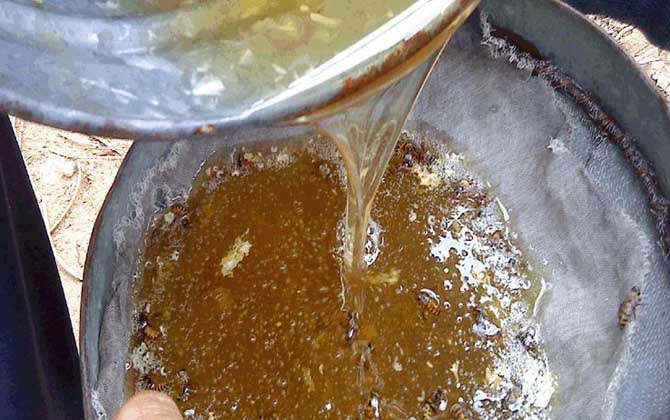 牡荆蜂蜜的功效、作用及食用方法