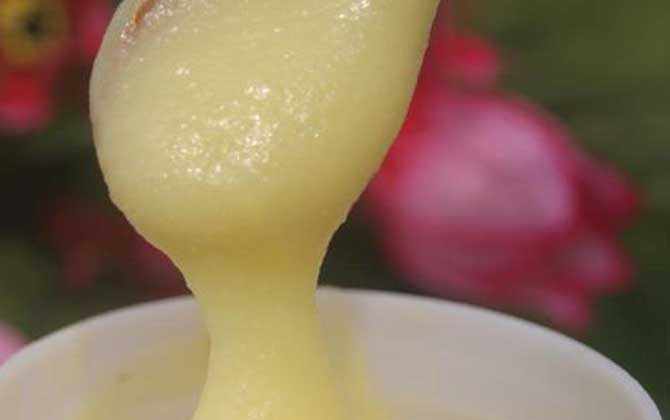 牡荆蜂蜜的功效、作用及食用方法