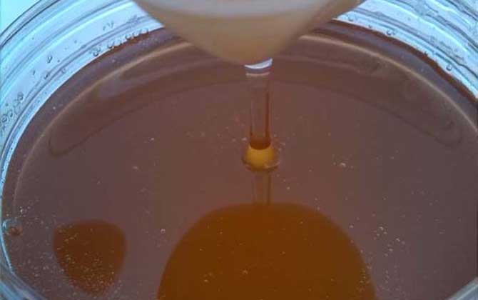 牡荆蜂蜜的功效、作用及食用方法