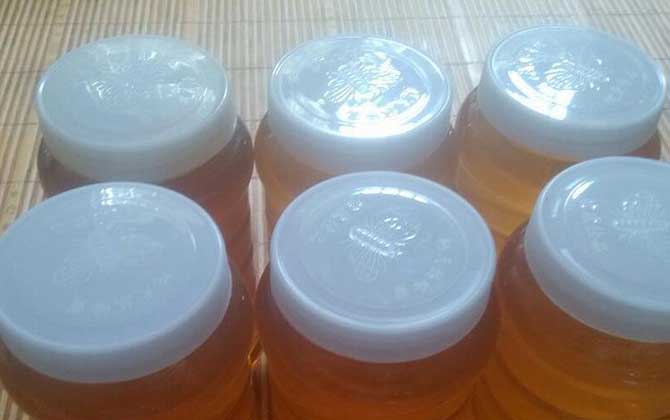 牡荆蜂蜜的功效、作用及食用方法