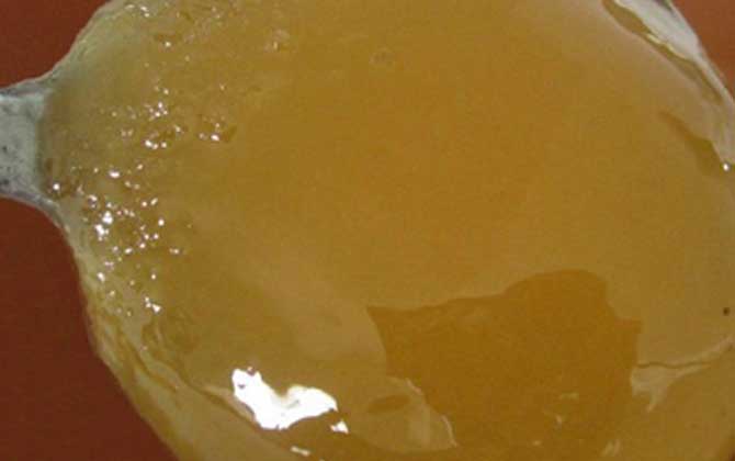 牡荆蜂蜜的功效、作用及食用方法