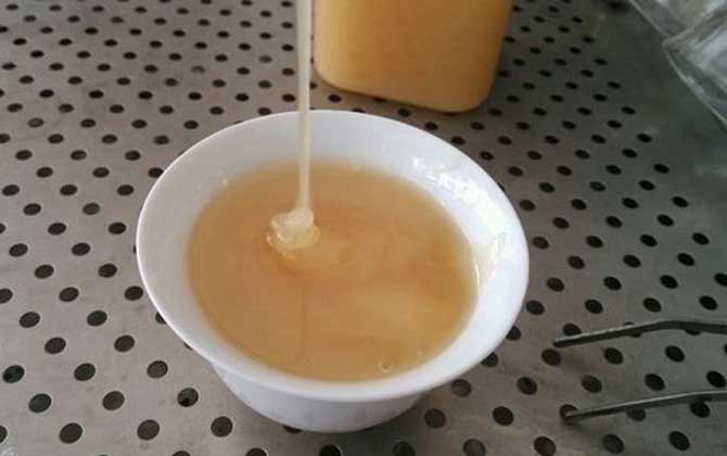 蜂蜜和洋葱可以一起吃吗？