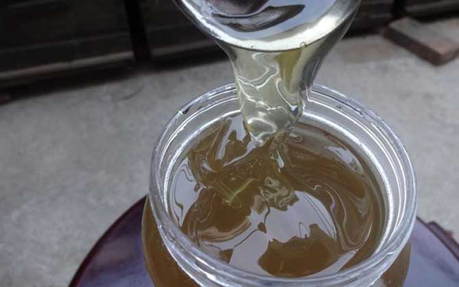 蜂蜜和洋葱可以一起吃吗？