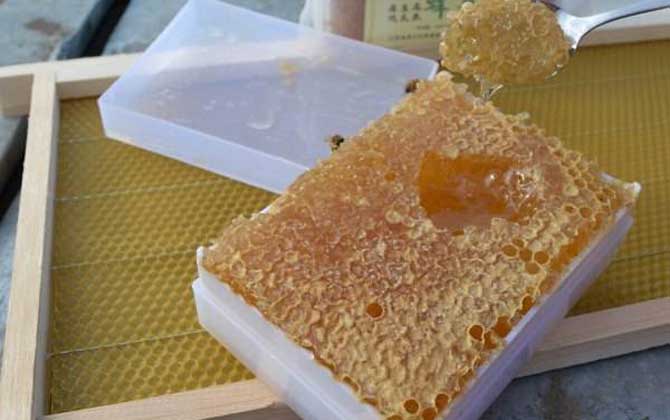 蜂巢蜂蜜的功效、作用及食用方法