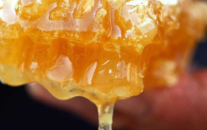 蜂巢蜂蜜和普通蜂蜜的区别