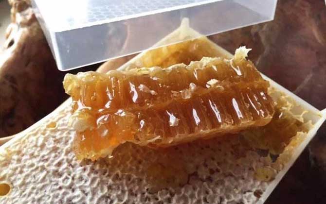 蜂巢蜜是怎么造假的？