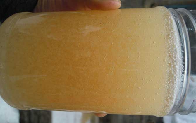 经常喝蜂蜜好吗？