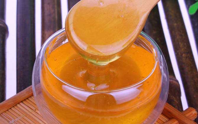 黑蜂蜜的功能、功效及食用方法