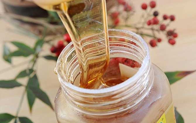 五味子蜂蜜的功效、作用及食用方法