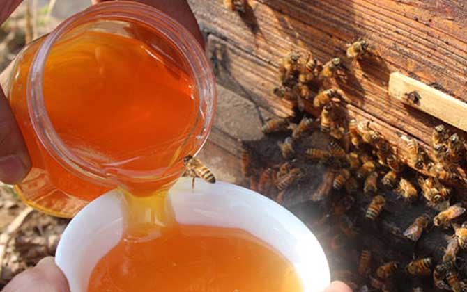 五味子蜂蜜的功效、作用及食用方法