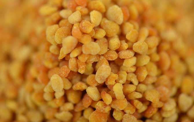 藕粉的功效、作用及食用方法