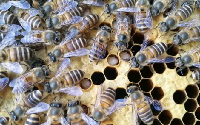 如何判断王杰是否成功？