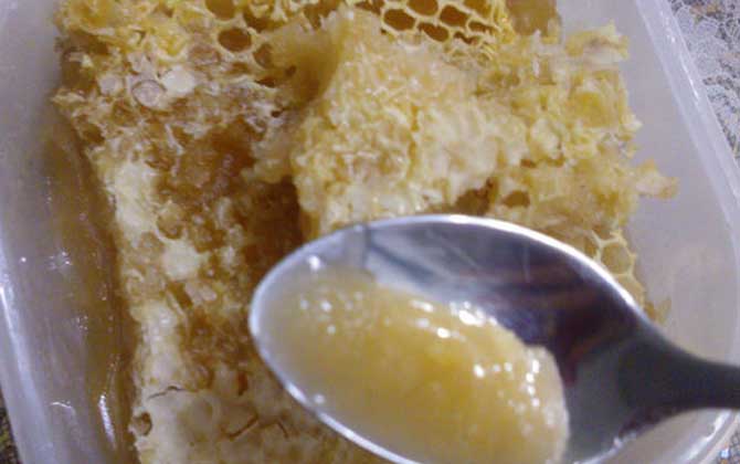 蜂巢蜂蜜为什么不能嚼？