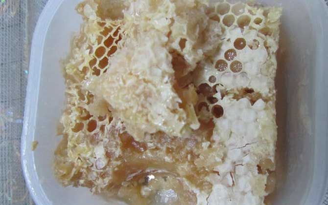 蜂巢蜂蜜为什么不能嚼？
