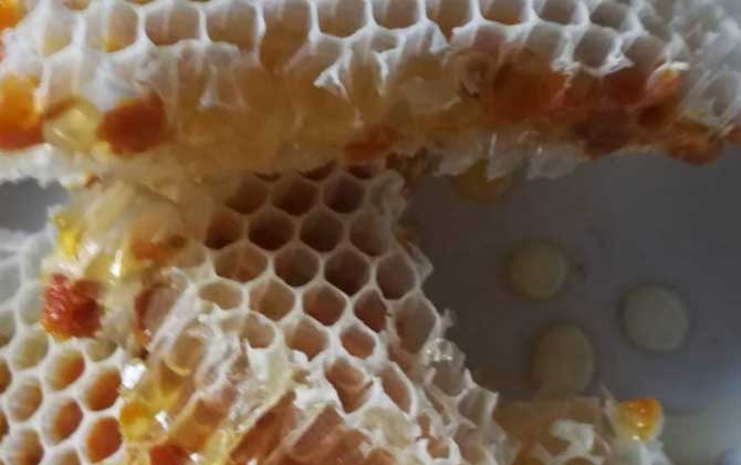蜂巢蜂蜜是怎么生产的？