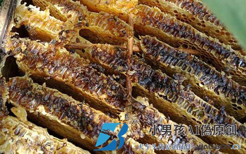 蜂巢蜜真的是假的吗？