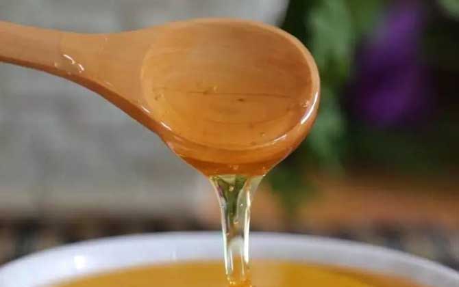 牡荆的价格是多少？