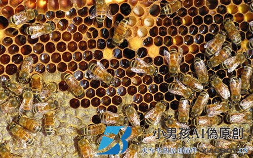 无人机需要多少天才能从蛋里离开家？
