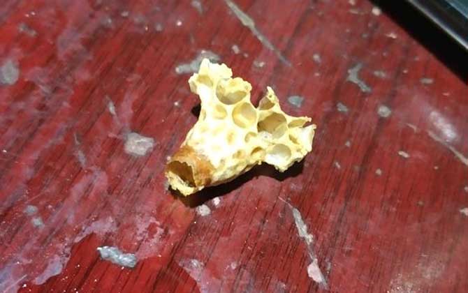 蜂王露台是怎么形成的？