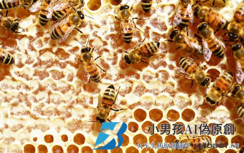 蜂蜜是怎么生产的？