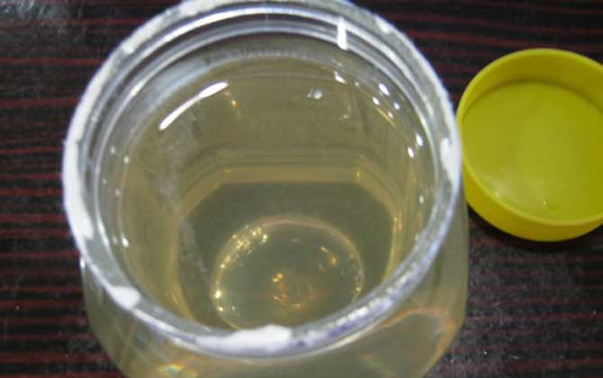 蜂蜜绿茶的减肥原理及正确饮用方法