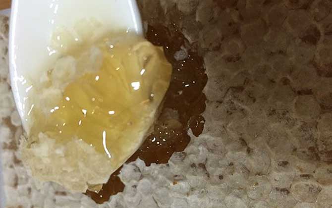 蜂巢蜜有哪些作用和效果？经常吃蜂巢蜜，这六个好处是脱不了干系的！