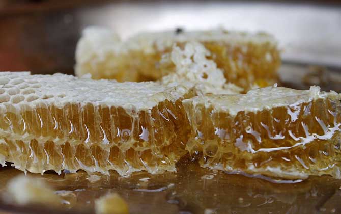 蜂巢蜜的禁忌及其正确食用方法