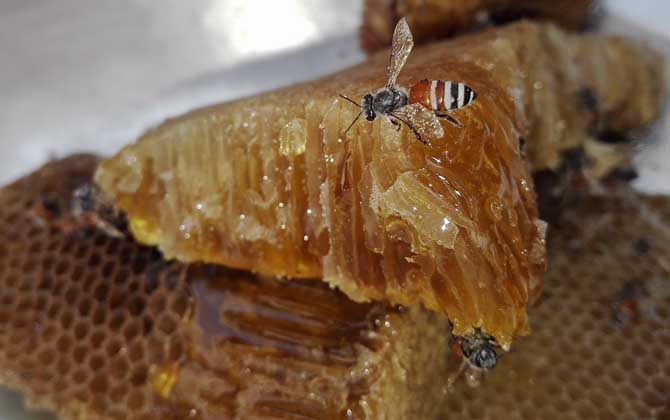 蜂巢蜜的禁忌及其正确食用方法