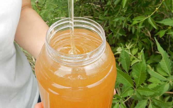 红枣花蜜的功效和作用及其正确食用方法