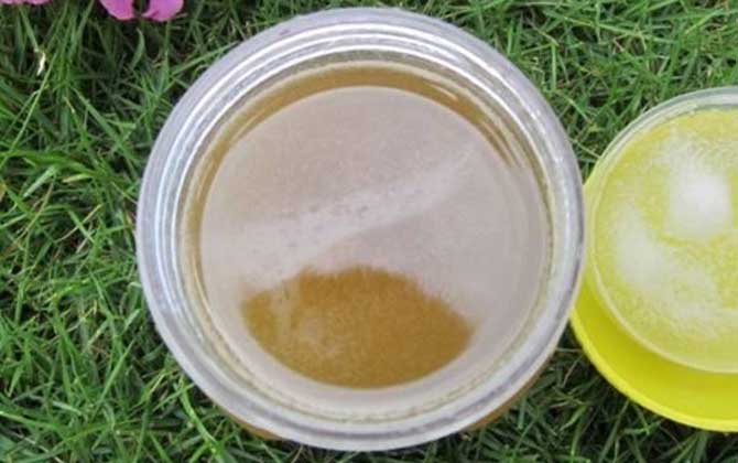 菜籽蜜的功效和作用及禁忌人群
