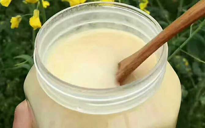 菜籽蜜的功效和作用及禁忌人群