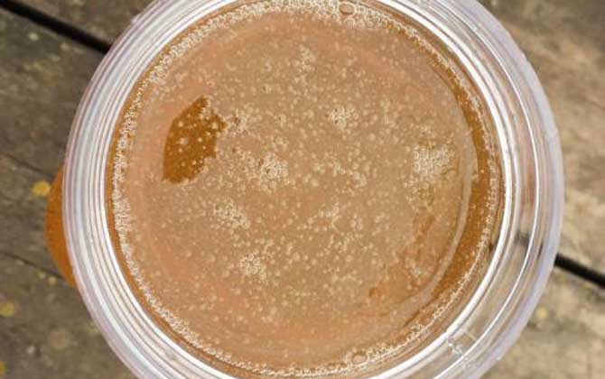 正宗荔枝蜜多少钱？